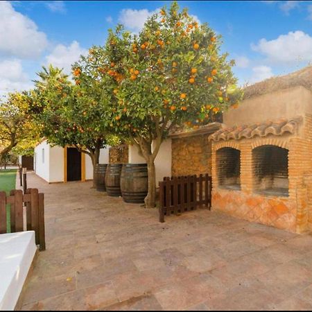 Cortijo Andaluz Dona Adela Guest House Almeria Exterior photo